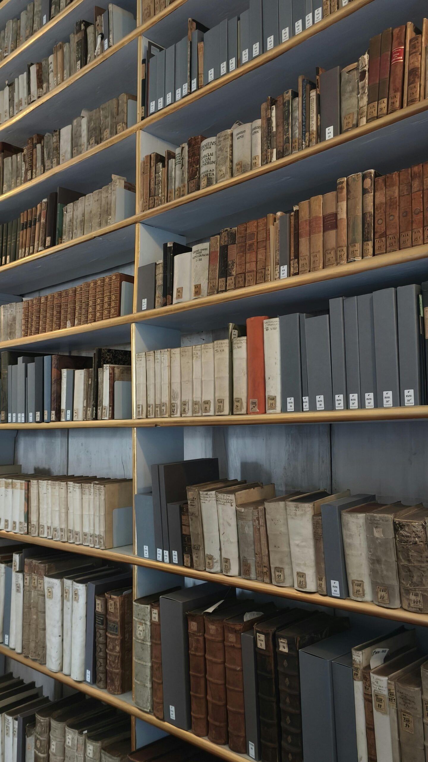 Rows of antique and modern books on a library shelf in Weimar, Germany.